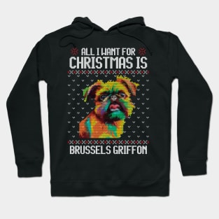 All I Want for Christmas is Brussels Griffon - Christmas Gift for Dog Lover Hoodie